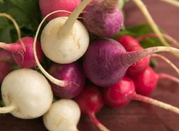 什么是冬青白粉病？