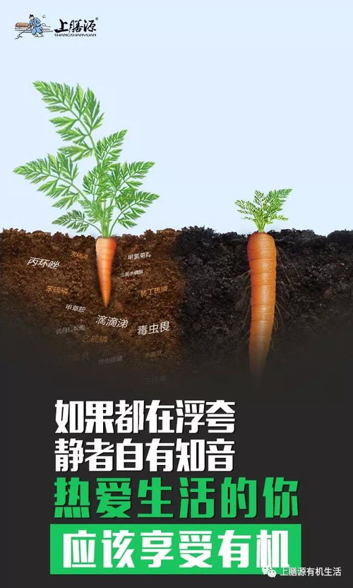 解决病虫害问题