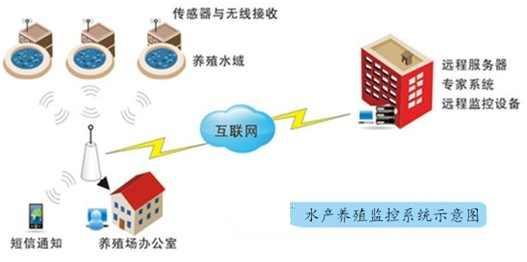 冬季水产养殖高效策略：如何有效管理以提升产量？