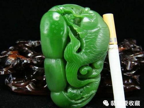 紫边碧玉为何掉叶？其珍贵品质是否受损