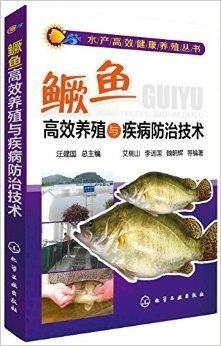 鳜鱼快速养殖需关注种苗、饲料、水质和病害四大环节