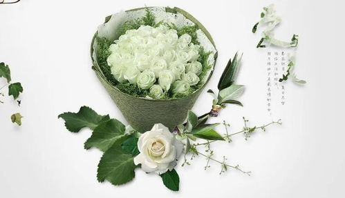 花卉网购，如何安全运输
