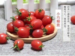 大樱桃防落素对千禧柿子种植管理有哪些具体作用和注意事项？