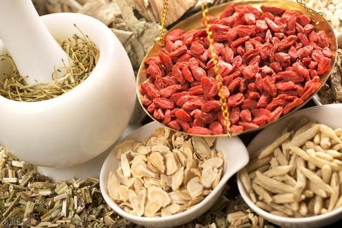 枸杞：滋补肝肾， 林中的红宝石