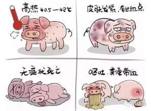 猪病管理三大核心：病原识别