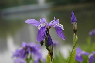 四、血泪教训：别被假货骗了