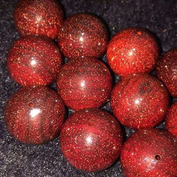 广州芳村花卉市场近年推广的控根容器技术，实现四季移栽。核心参数：