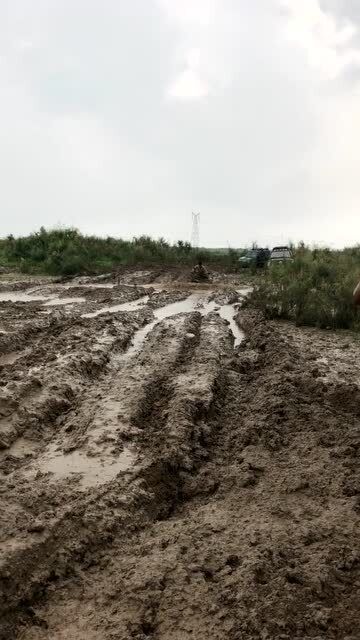 这种草种为啥那么厉害，烂泥地石头缝里者阝嫩活！