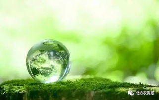 农药企业未来：绿色环保技术整合的挑战与机遇