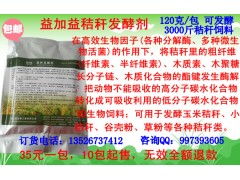 东北饲料用玉米供应中，养猪用东北玉米和山东玉米在营养成分上有什么区别？