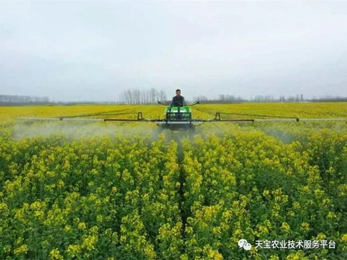 效果观察