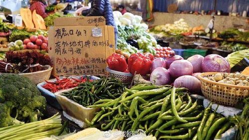 市场上好卖的菜是青菜和瓜类