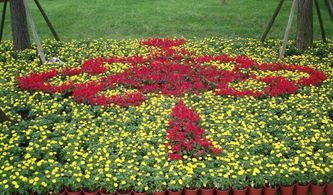 四川花卉基地交通指南