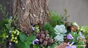 现代审美与花艺设计