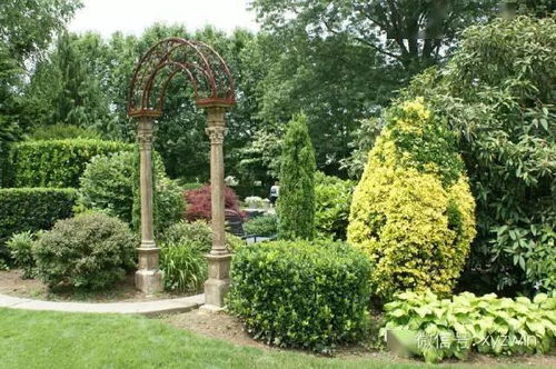 修剪树木，塑造完美树形