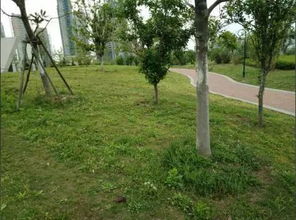 如何选择合适的除草剂