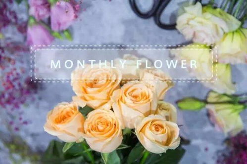 第三步：加点小东西