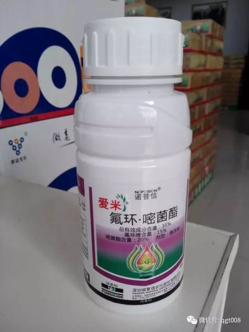 三环唑与康宽：稻田的“内外科医生”