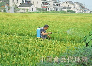 开花喷农药，产量受不受影响？