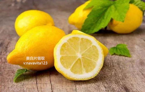 柠檬籽如何种植？需要准备哪些土壤和容器
