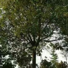 当你在搜索引擎输入