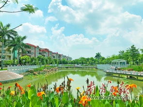 低碳生活：与花草树木共筑绿色家园的奇妙旅程