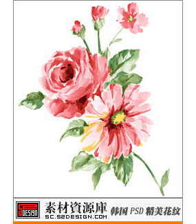 牡丹花图片素描，免费高清素材网站有哪些