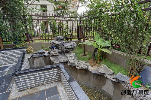 庭院水养植物推荐