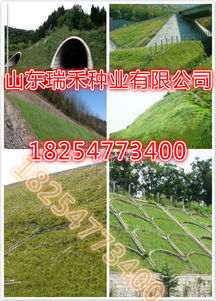 生长周期，各具特色