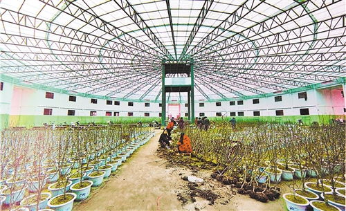 互联网电商平台：拓宽销售渠道