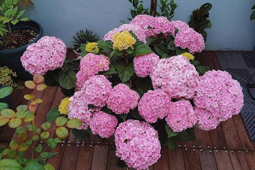 生长的等待：时间的艺术