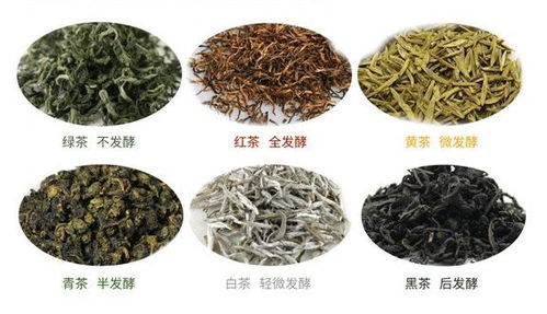 茶叶选购指南：哪些品牌值得推荐？