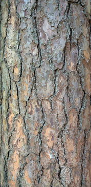 形状各异，创意无限