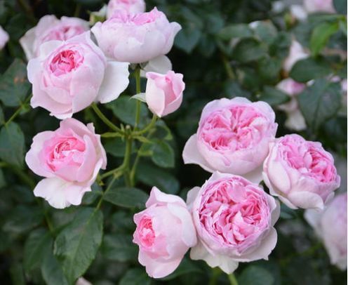 种植季节，你了解多少？