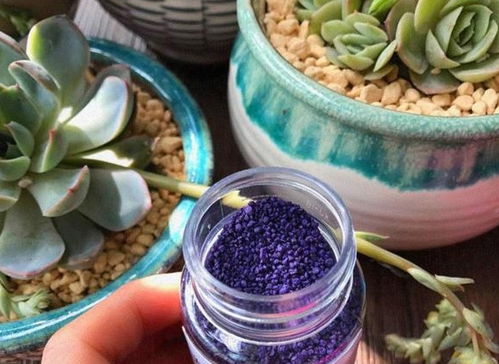 大蒜和蚊香灰， 天然驱虫好帮手