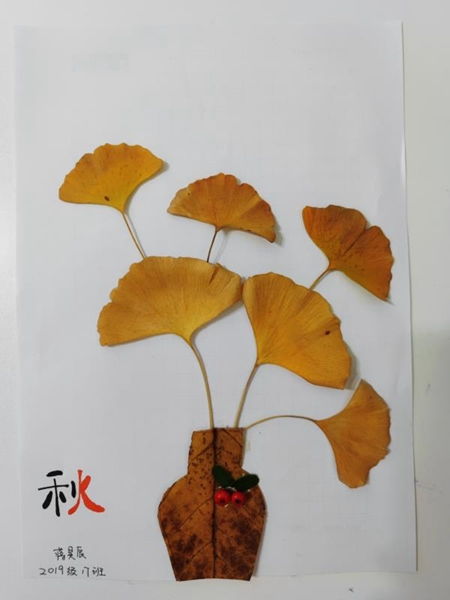 秋天的颜色，我的画笔