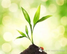 第一步：醒藕玄学