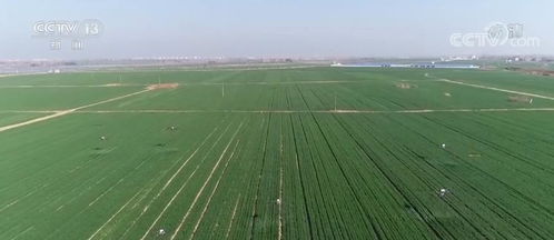 土壤改良， 不是那么简单