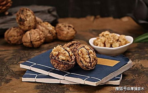 核桃树需生长5-6年才能结果