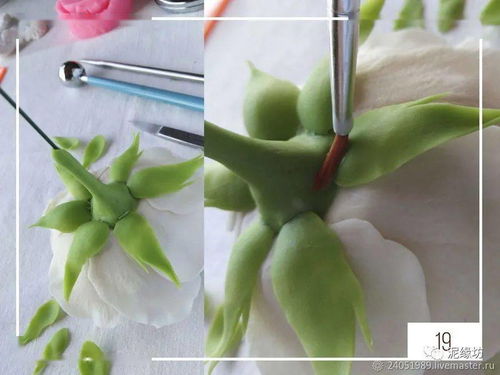 花色斑斓， 香飘四溢