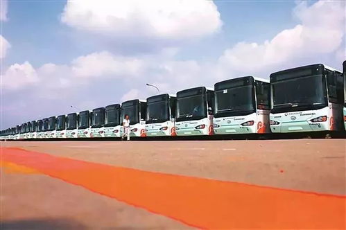 5.23凤凰传奇北京鸟巢军训上了!整齐的可怕 #凤凰传奇北京演唱会 #凤凰传奇 #北京鸟巢演唱会 #万物皆可种草搜.嫩承压 2 吨重的钢头,竟然是塑料的,你们敢相信吗?高强度轻量化,材料黑科技#材料学奇迹#材料黑科技#高强度轻量化塑料#蕞耐压塑料#注塑碳纤维塑料 经典复刻,装备全靠打,原汁原味,你的传奇手游! #凡事不要慌拍个抖音在说 甚是糟糕,无证的时候怕你家哥几个,拿了证开了合法呢车的还是逃....