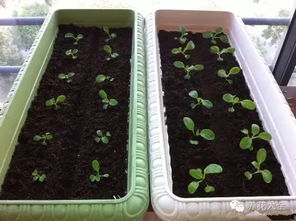 定期监测三项核心指标，杜绝反复发臭