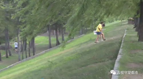 草坪：保护学生， 美化环境