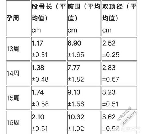 海夕2号钩与袖钩几号相当，需了解袖钩号数定义及钩针尺寸标准