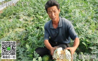 打农药的注意事项