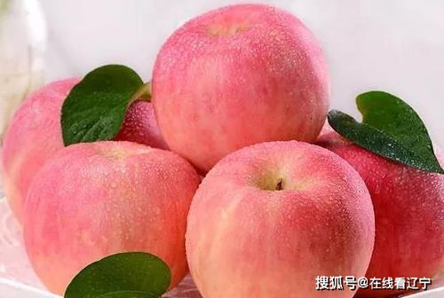 苹果核里的小秘密，它如何孕育出生命的奇迹
