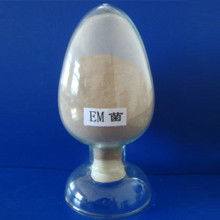 em菌，是个啥玩意儿？