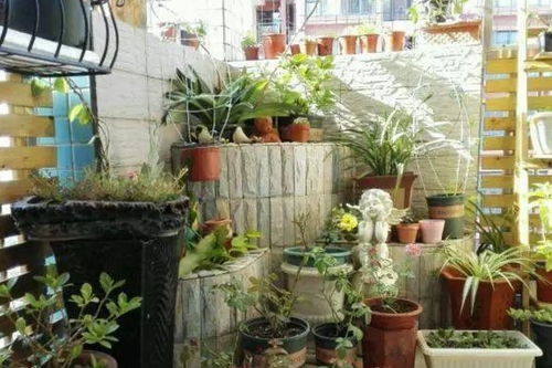 打包秘籍：防磕碰，保湿，不脱水