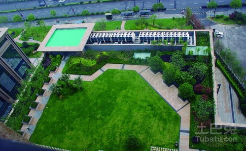 屋顶绿化：城市上空的生态花园