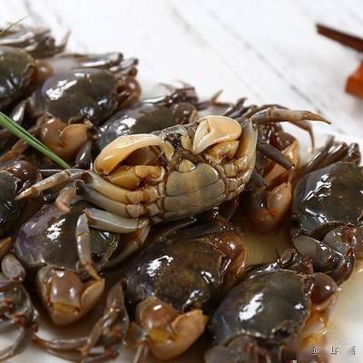 河北邢台适合养螃蟹吗？正米饲料能否提供适宜螃蟹养殖的环境？